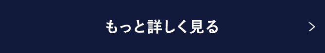 もっと詳しく見る